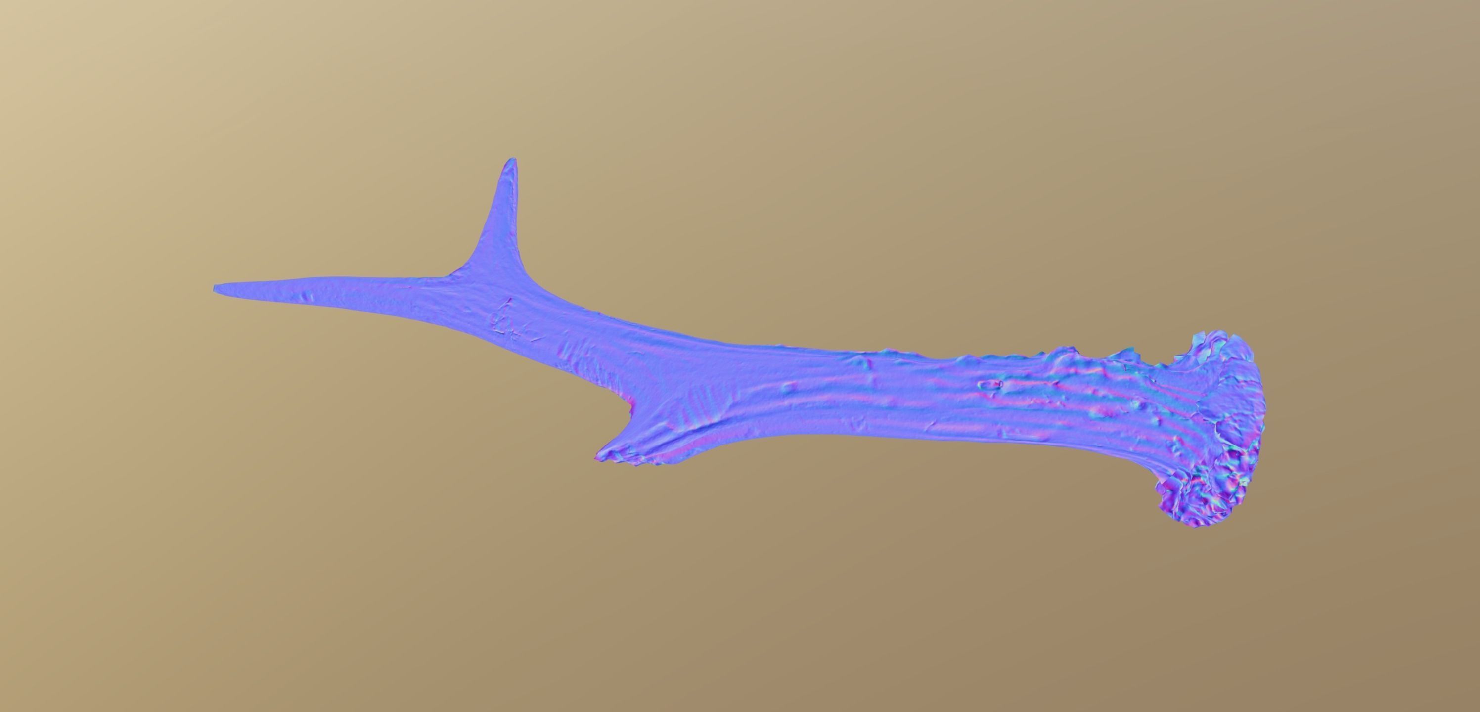 Wild and used deer antler Low-poly 3D model_10