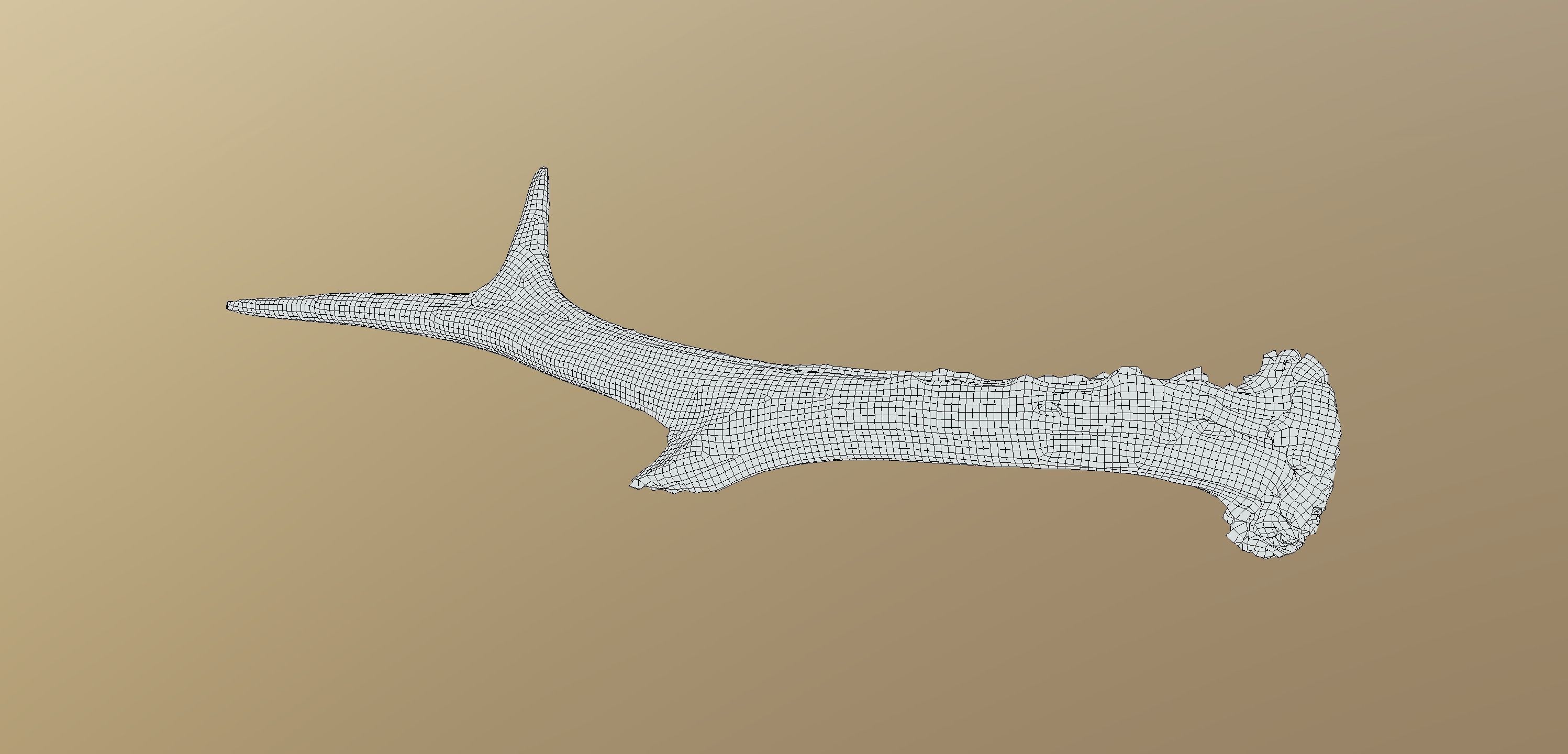 Wild and used deer antler Low-poly 3D model_5