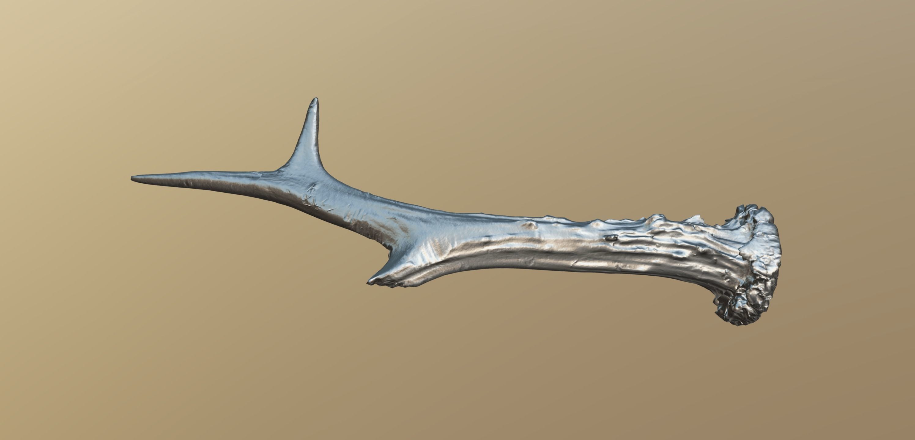 Wild and used deer antler Low-poly 3D model_11