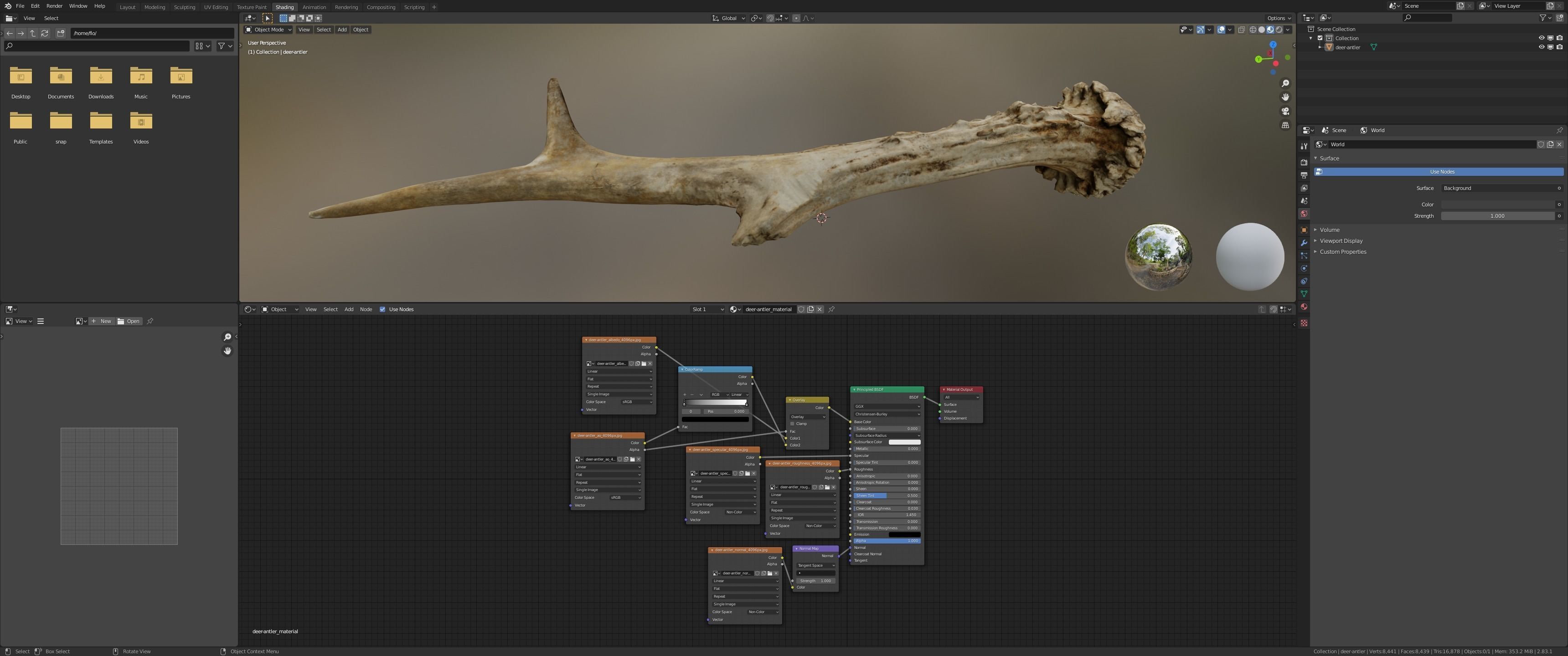 Wild and used deer antler Low-poly 3D model_14