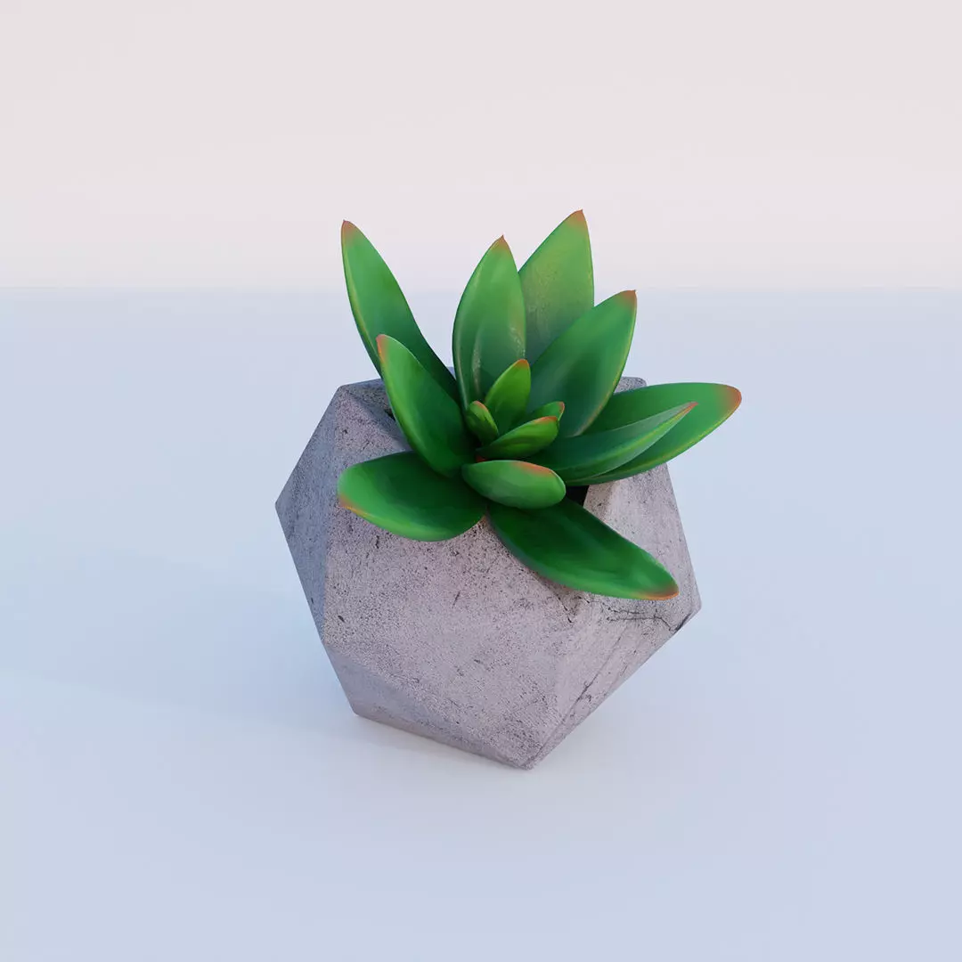 Concrete potted succulent 3D model_0