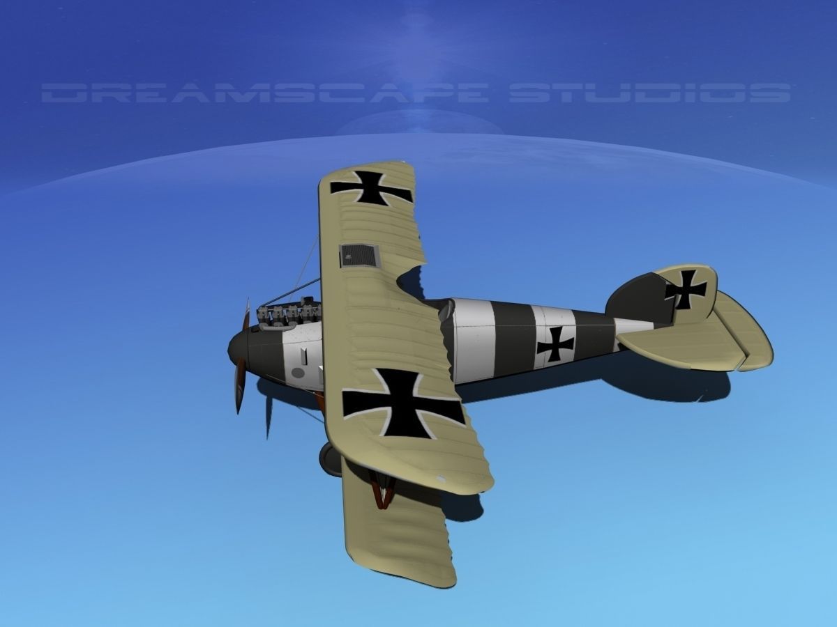 Albatross DIII Fighter 3D model_9