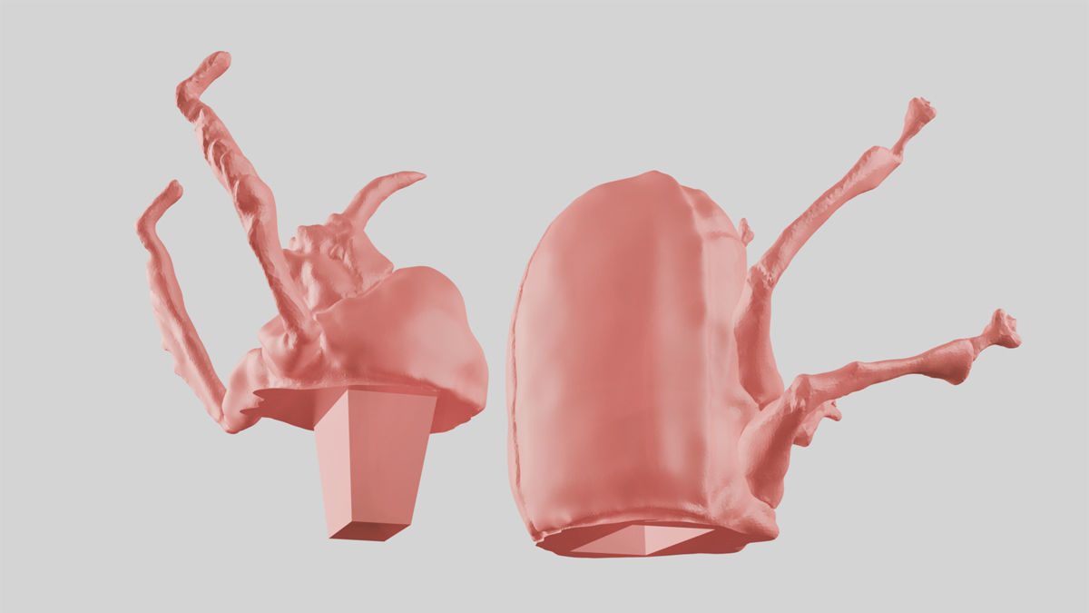 Dung beetle  3D print model_3