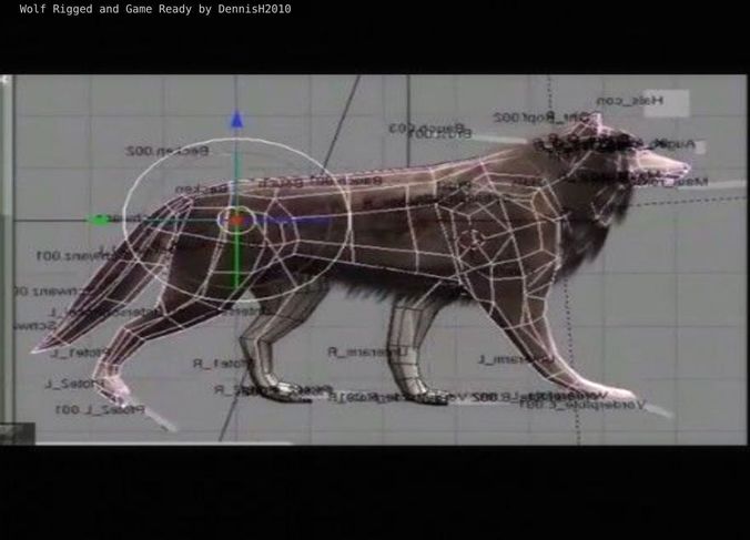 Wolf Rigged Animated and Game Ready Free low-poly 3D model