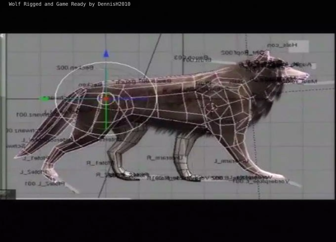 Wolf Rigged Animated and Game Ready Free low-poly 3D model_0