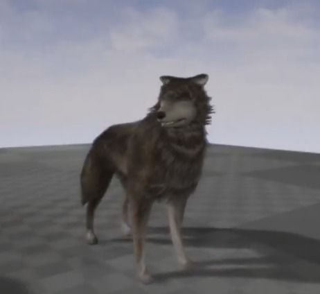 Wolf Rigged Animated and Game Ready Free low-poly 3D model_27