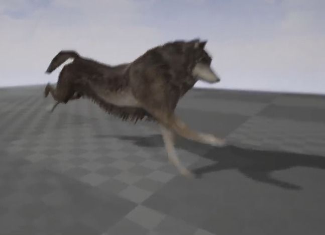 Wolf Rigged Animated and Game Ready Free low-poly 3D model_15