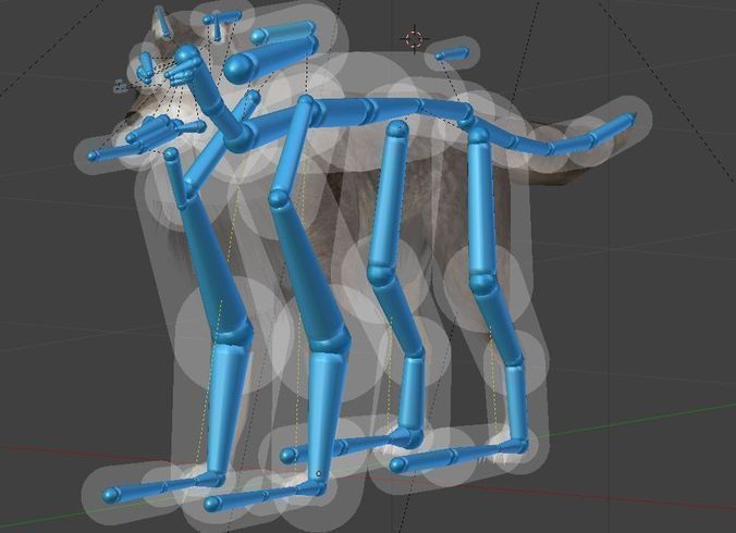 Wolf Rigged Animated and Game Ready Free low-poly 3D model_41