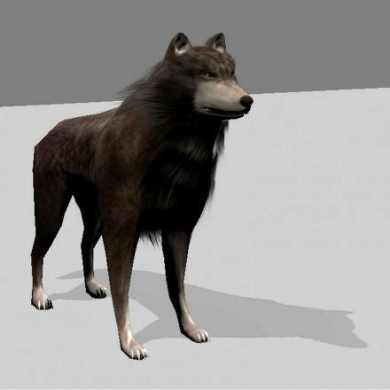Wolf Rigged Animated and Game Ready Free low-poly 3D model_7