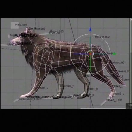 Wolf Rigged Animated and Game Ready Free low-poly 3D model_45