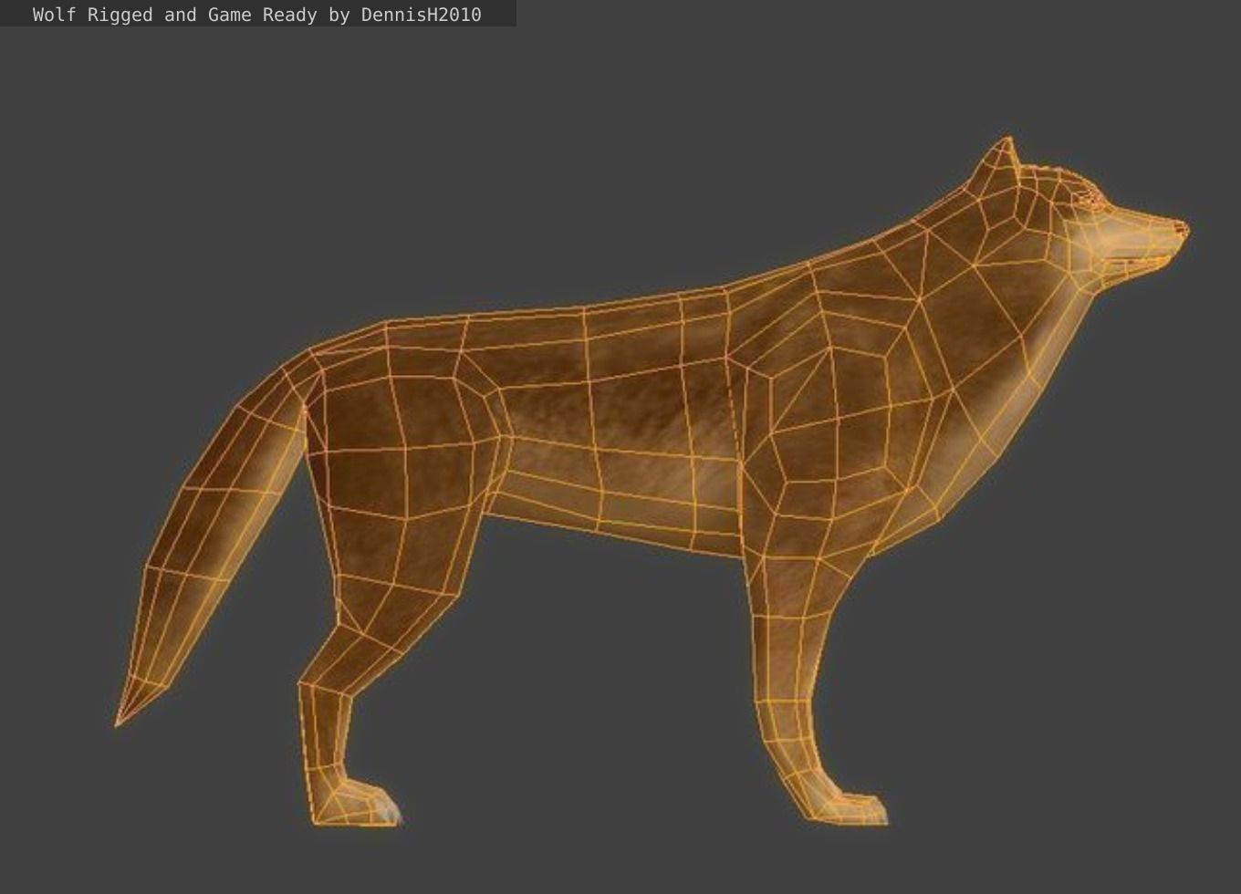 Wolf Rigged Animated and Game Ready Free low-poly 3D model_14