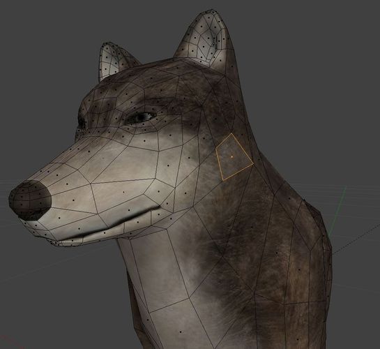 Wolf Rigged Animated and Game Ready Free low-poly 3D model_36