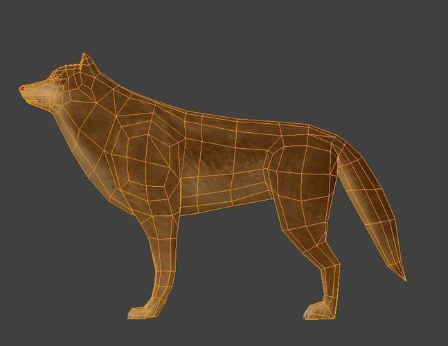 Wolf Rigged Animated and Game Ready Free low-poly 3D model_32