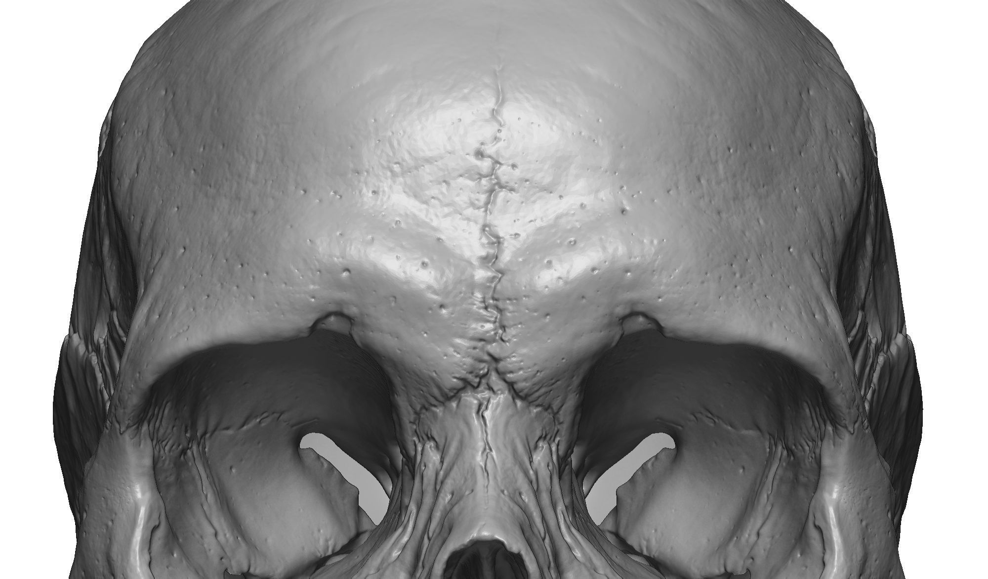 Female human skull- realistic 3d print model- 3 versions set 3D print model_12