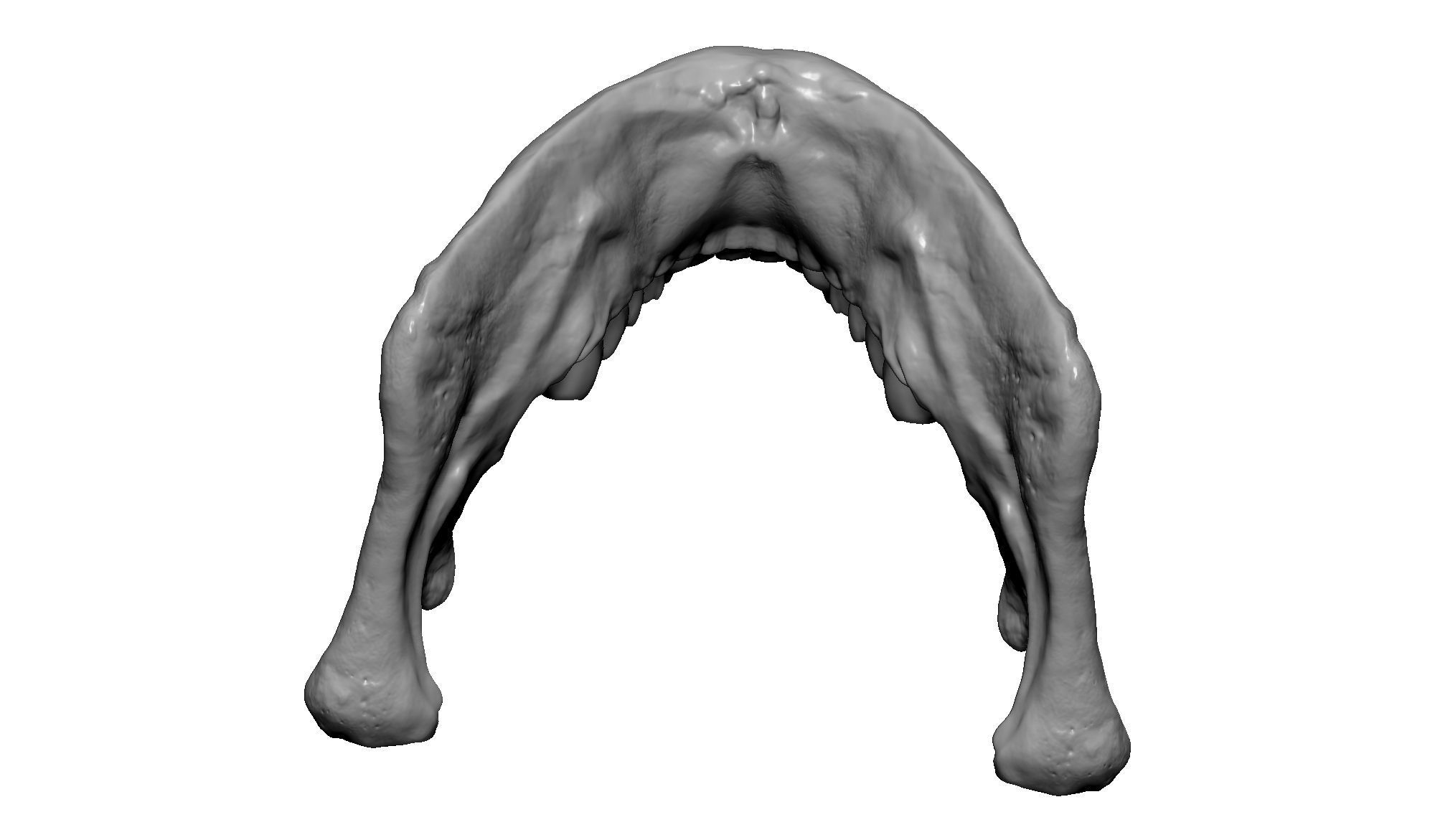 Female human skull- realistic 3d print model- 3 versions set 3D print model_27