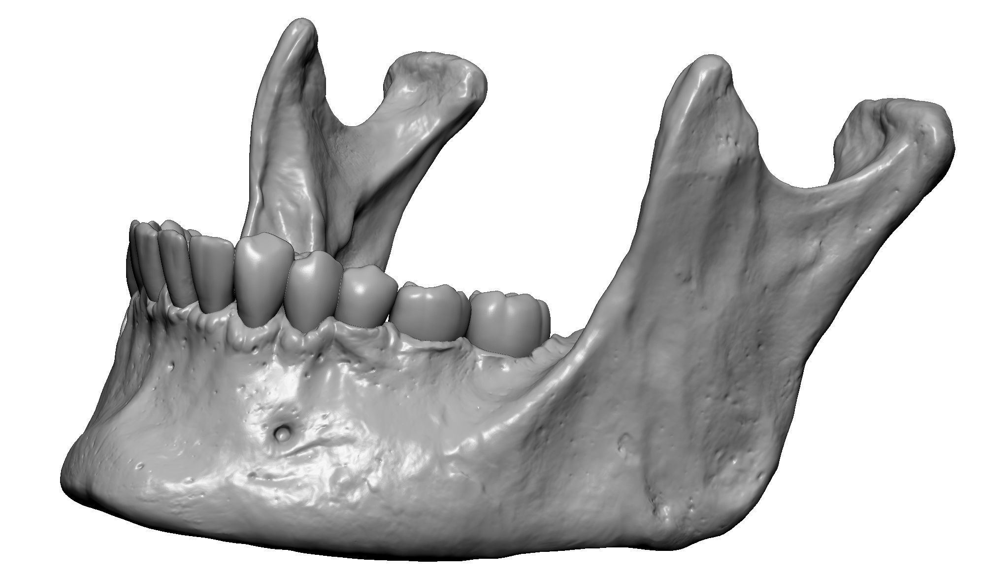 Female human skull- realistic 3d print model- 3 versions set 3D print model_24