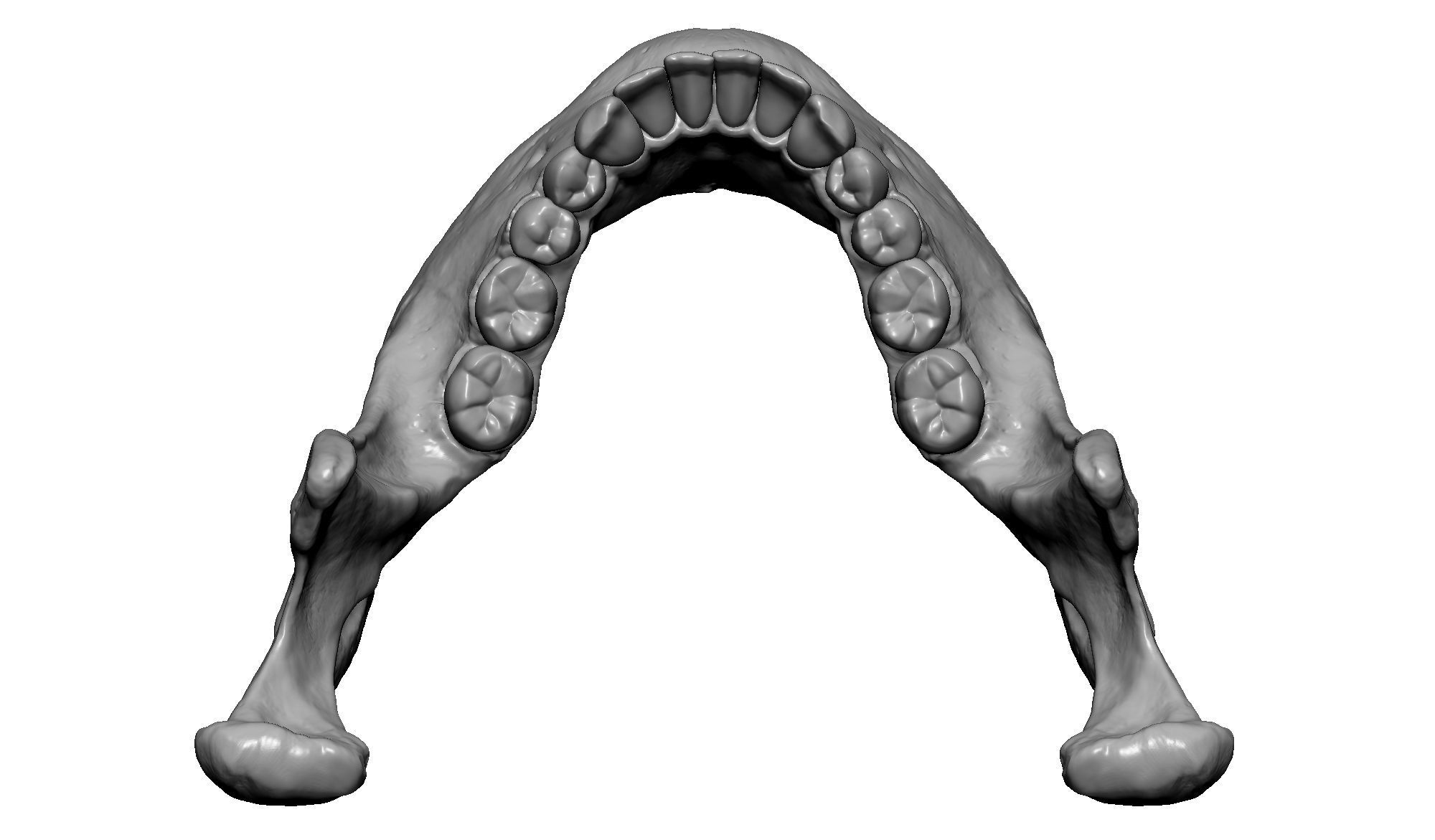 Female human skull- realistic 3d print model- 3 versions set 3D print model_28