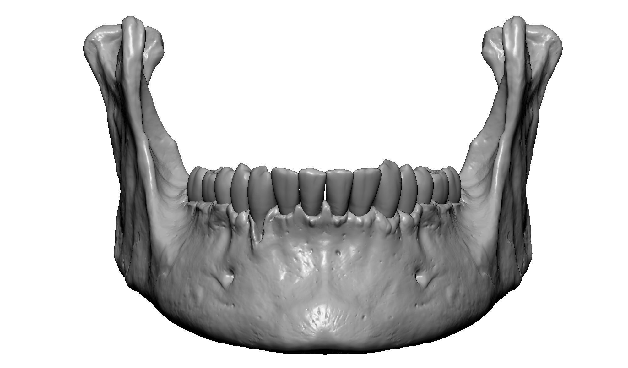 Female human skull- realistic 3d print model- 3 versions set 3D print model_25