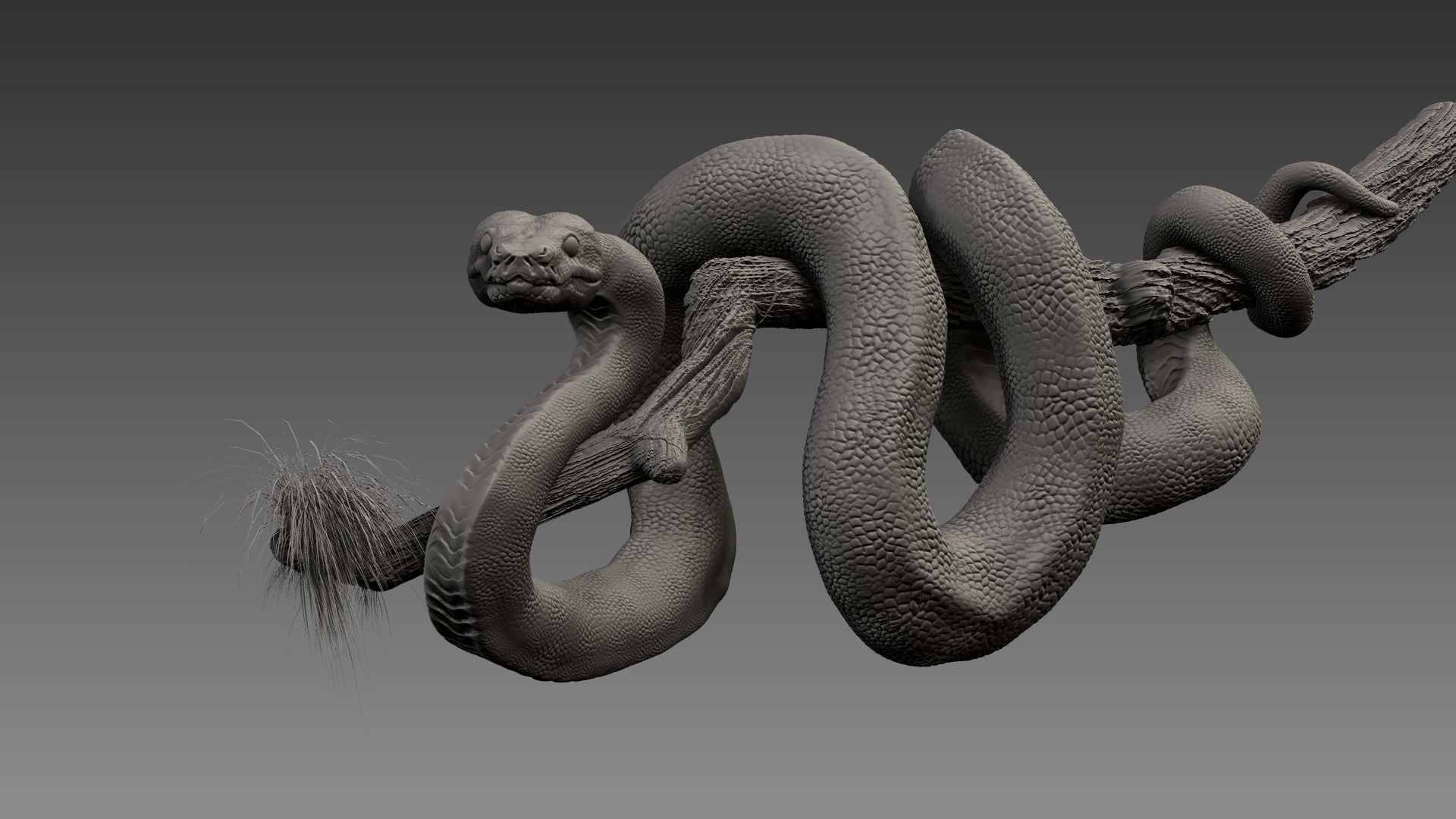 Anakonda Snake High Poly 3D model_9