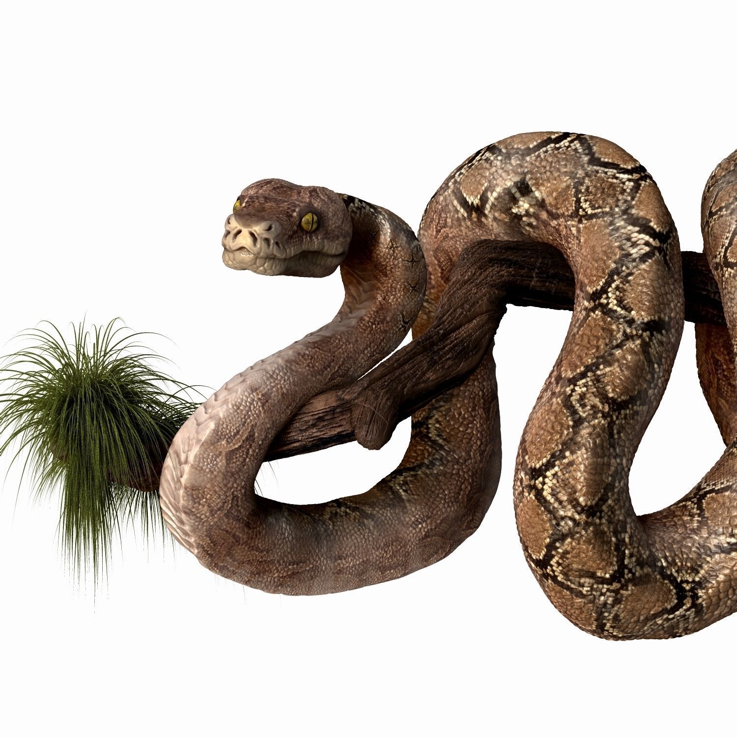 Anakonda Snake High Poly 3D model_1