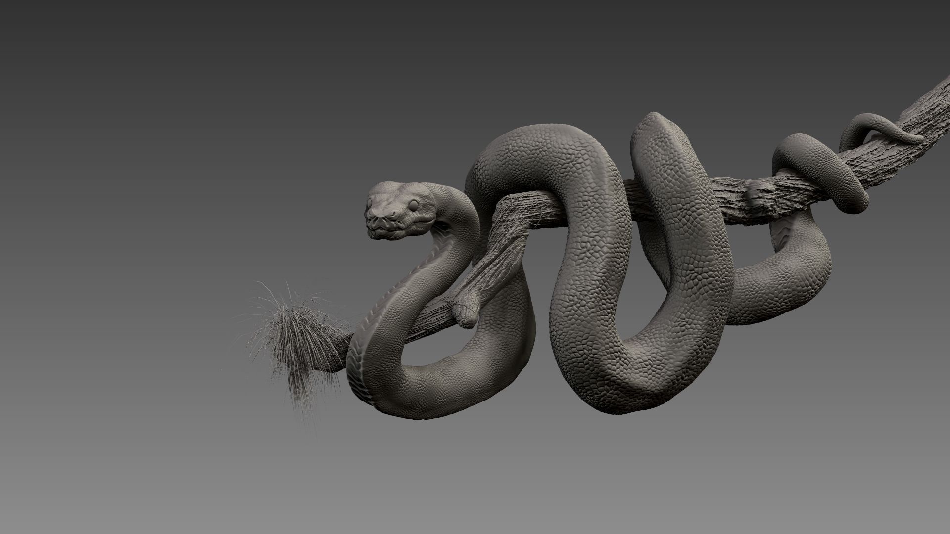 Anakonda Snake High Poly 3D model_7