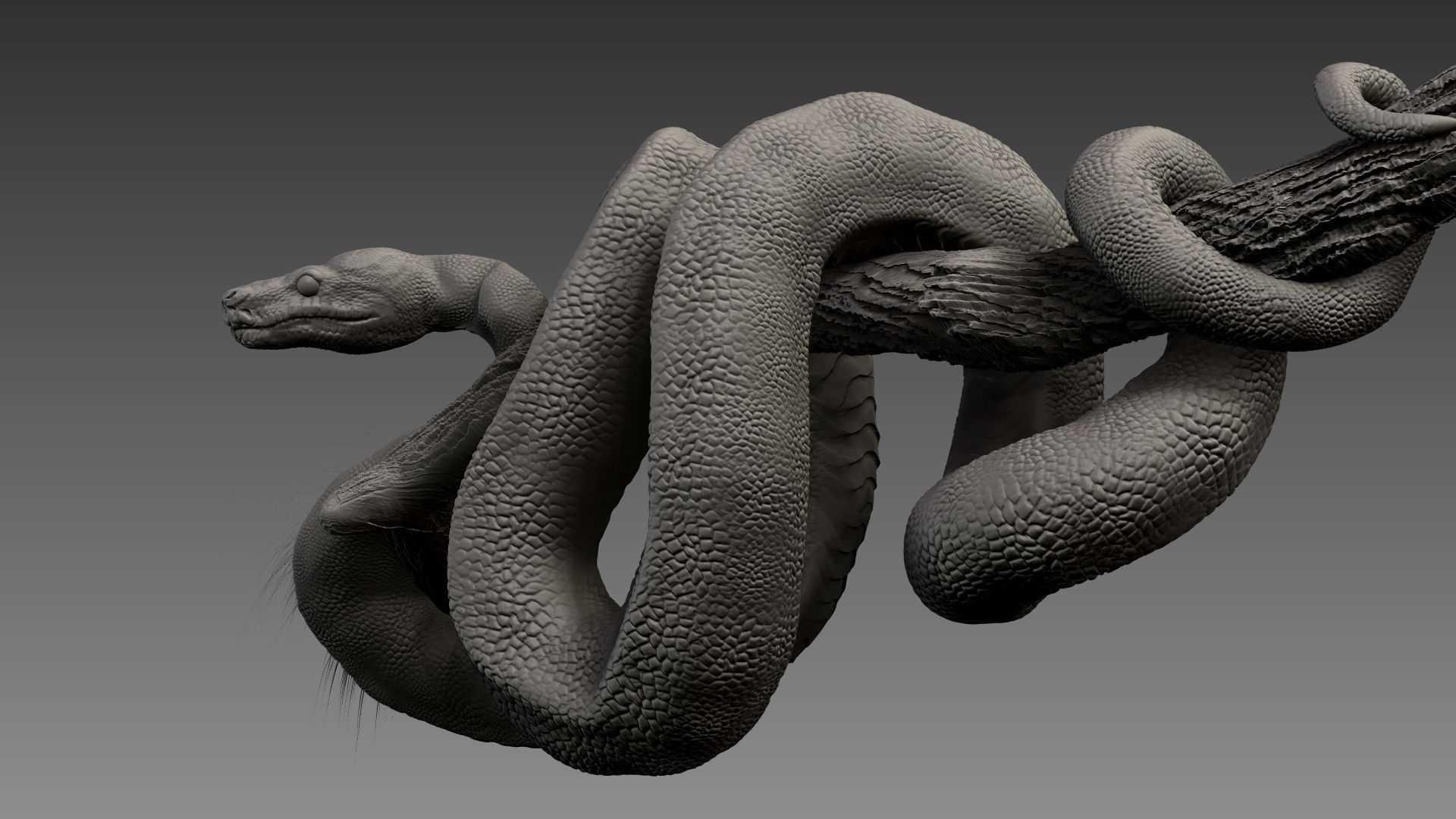 Anakonda Snake High Poly 3D model_10