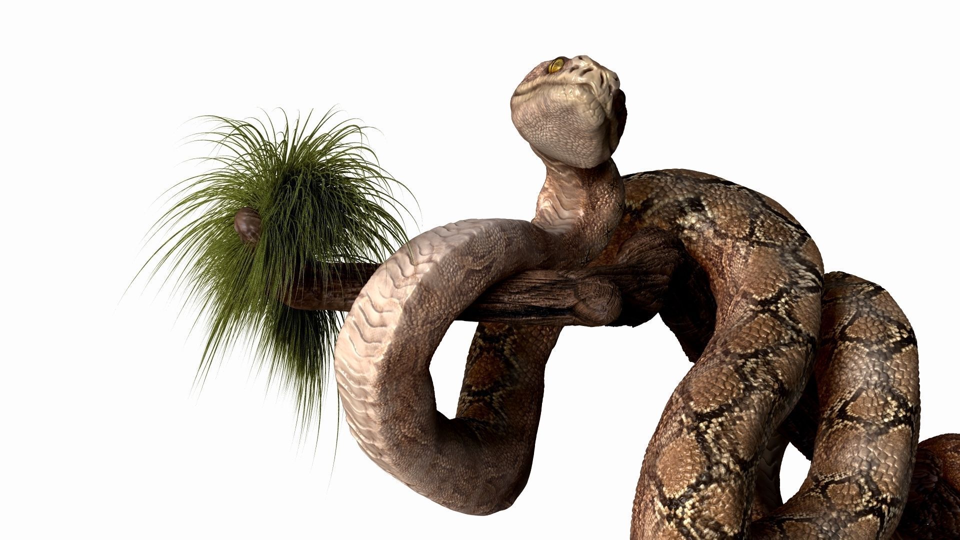 Anakonda Snake High Poly 3D model_2