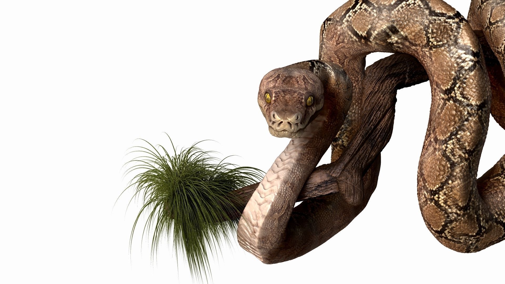 Anakonda Snake High Poly 3D model_5