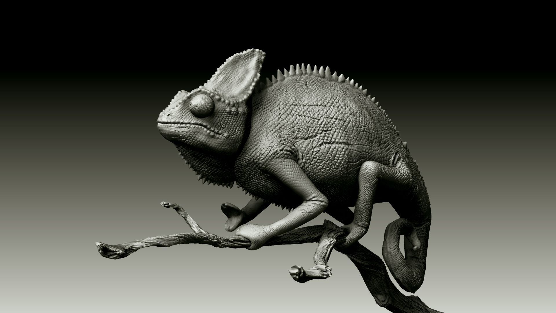 Chameleon Realistic High Poly 3D model_13