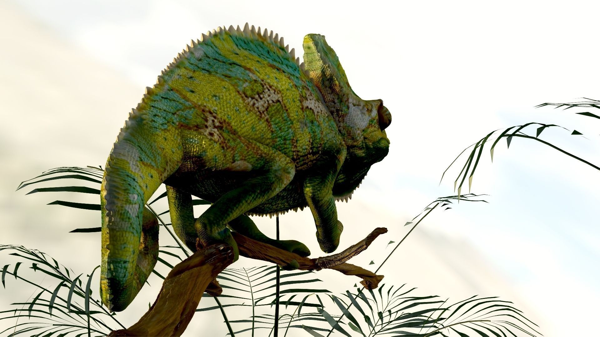 Chameleon Realistic High Poly 3D model_3