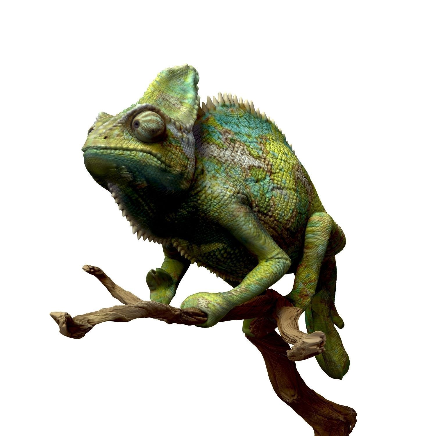 Chameleon Realistic High Poly 3D model_7
