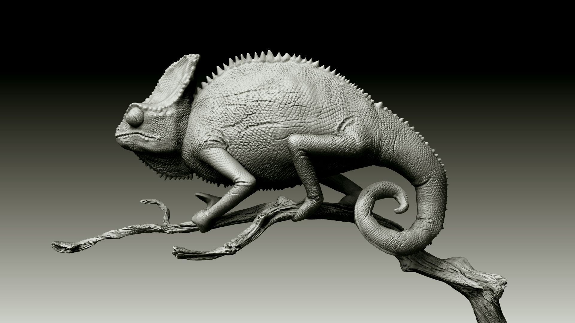 Chameleon Realistic High Poly 3D model_15
