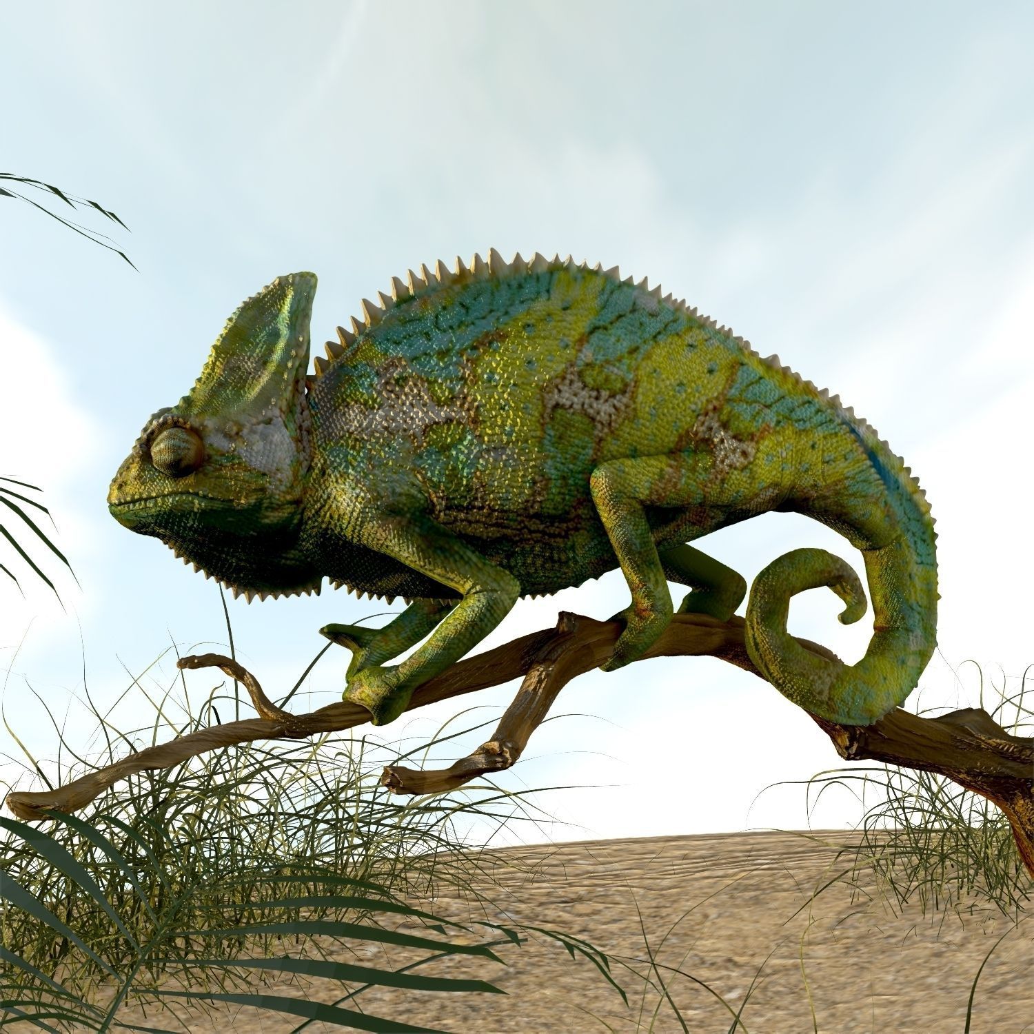 Chameleon Realistic High Poly 3D model_5
