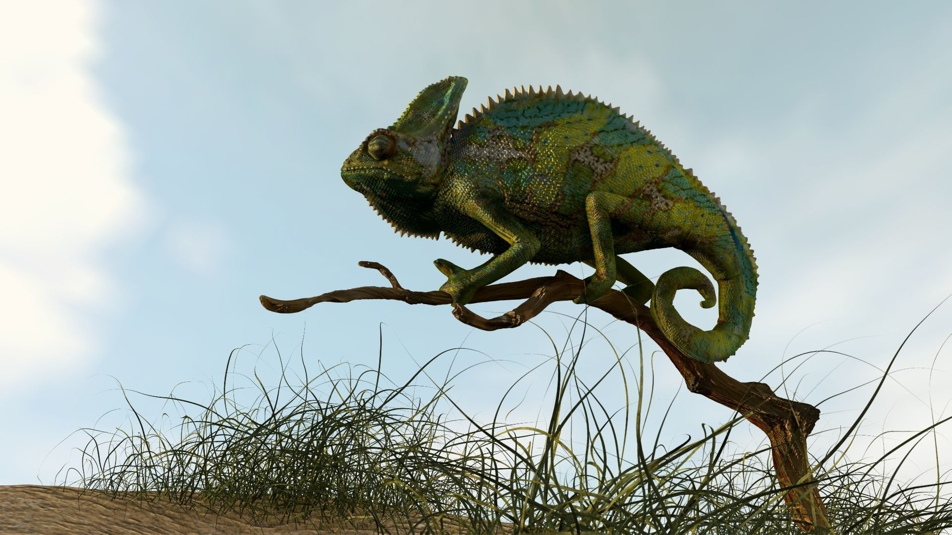 Chameleon Realistic High Poly 3D model_12