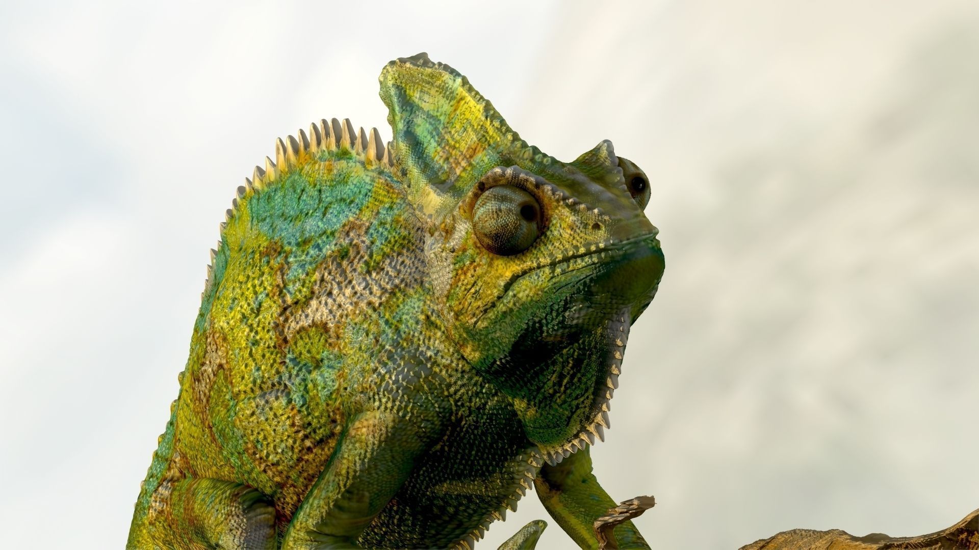 Chameleon Realistic High Poly 3D model_2
