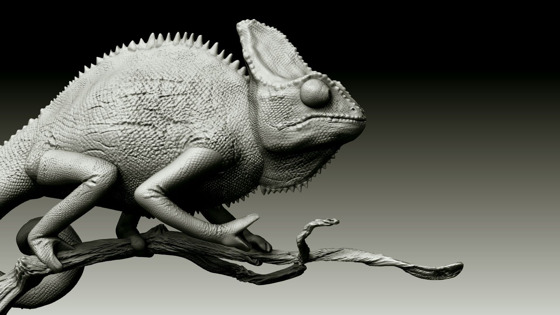 Chameleon Realistic High Poly 3D model_14