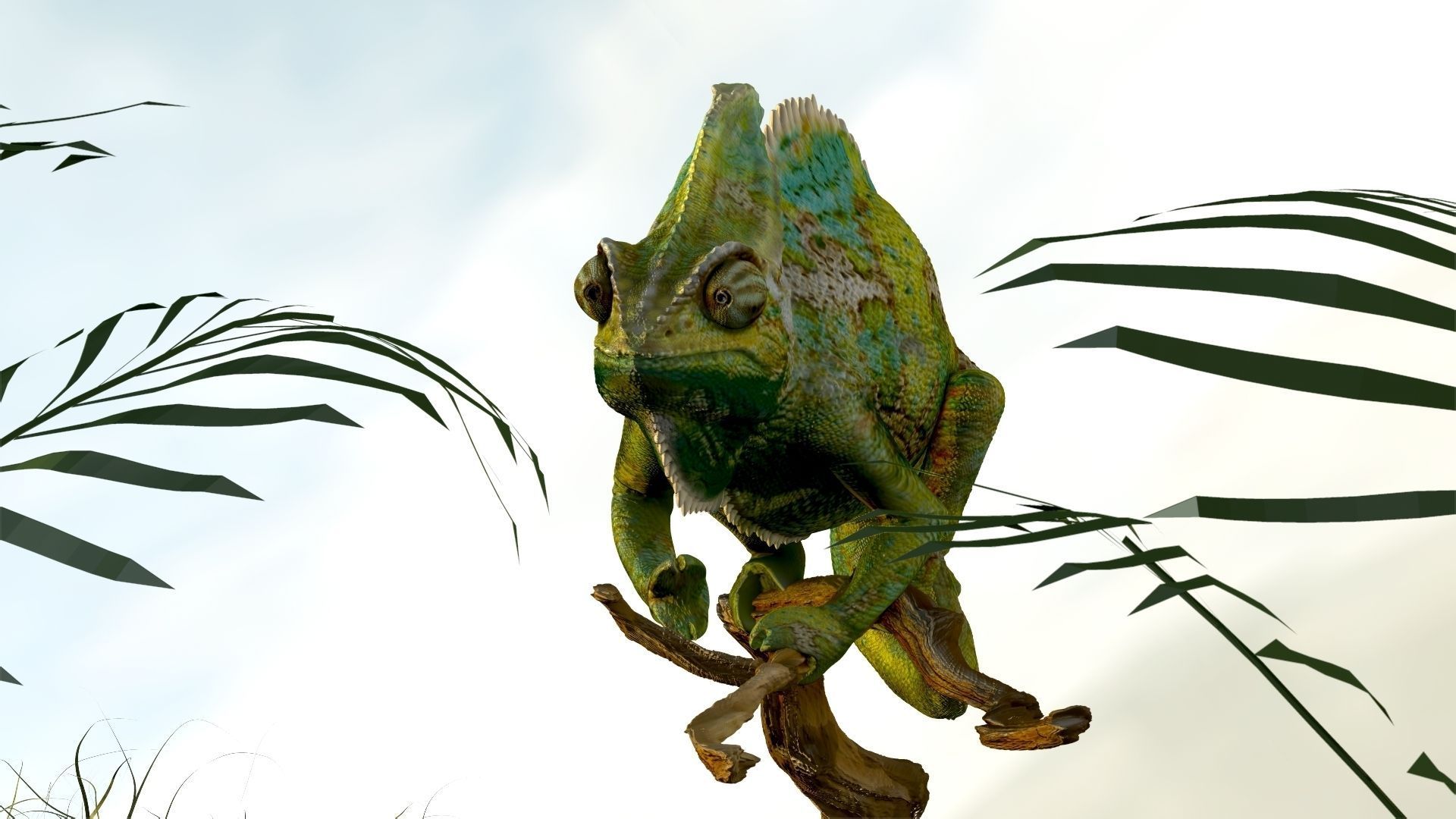 Chameleon Realistic High Poly 3D model_1