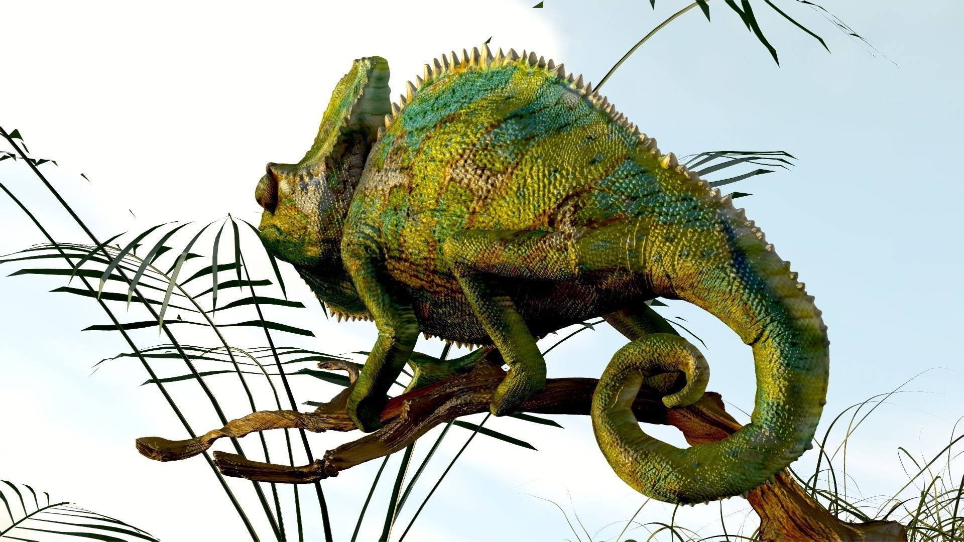 Chameleon Realistic High Poly 3D model_4