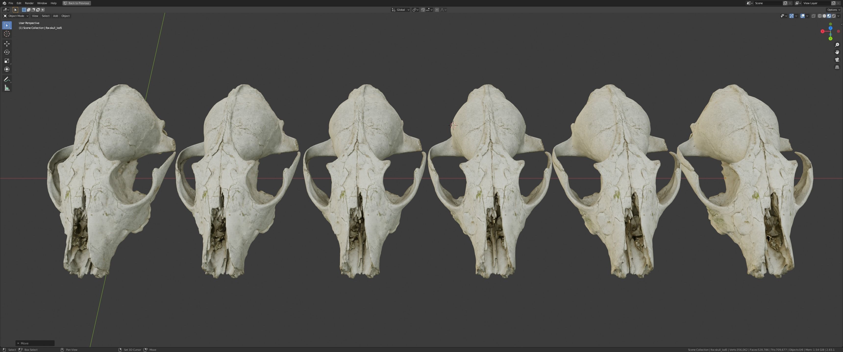 Fox skull Low-poly 3D model_13