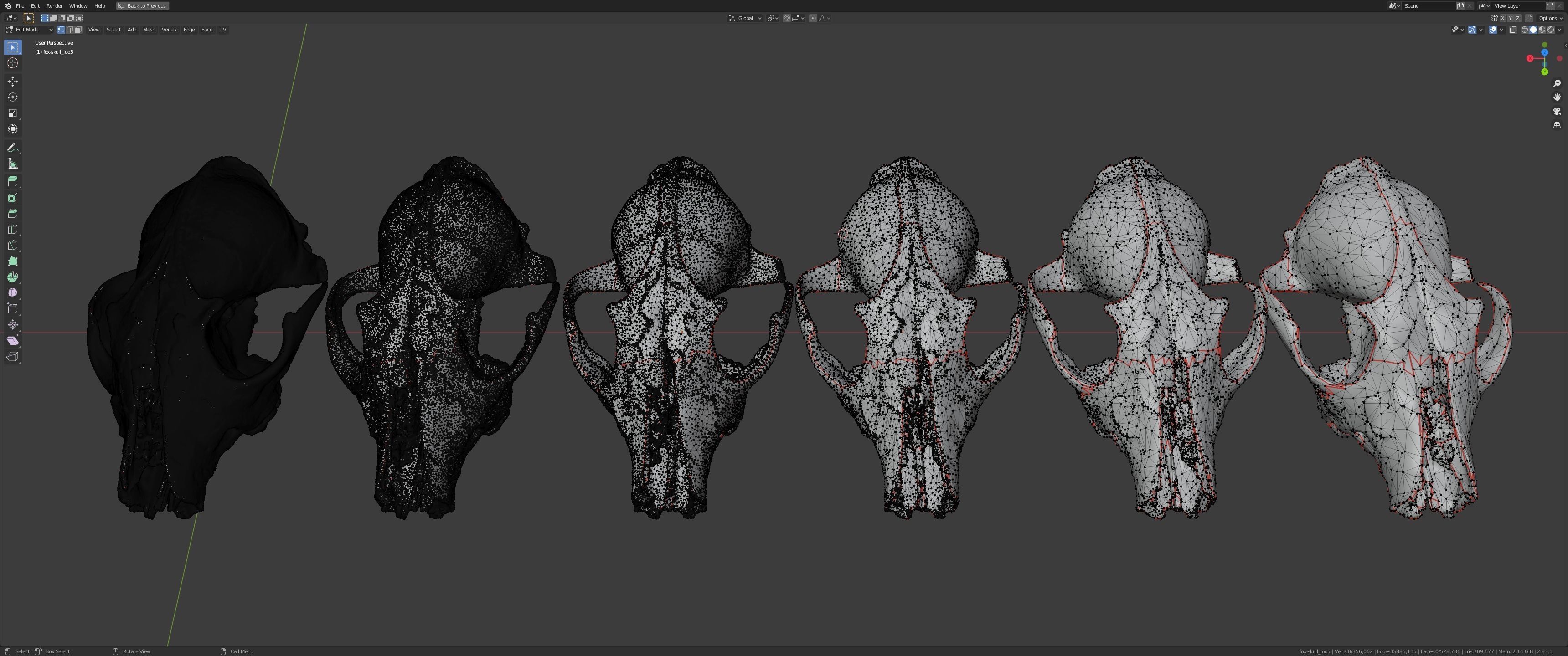 Fox skull Low-poly 3D model_15