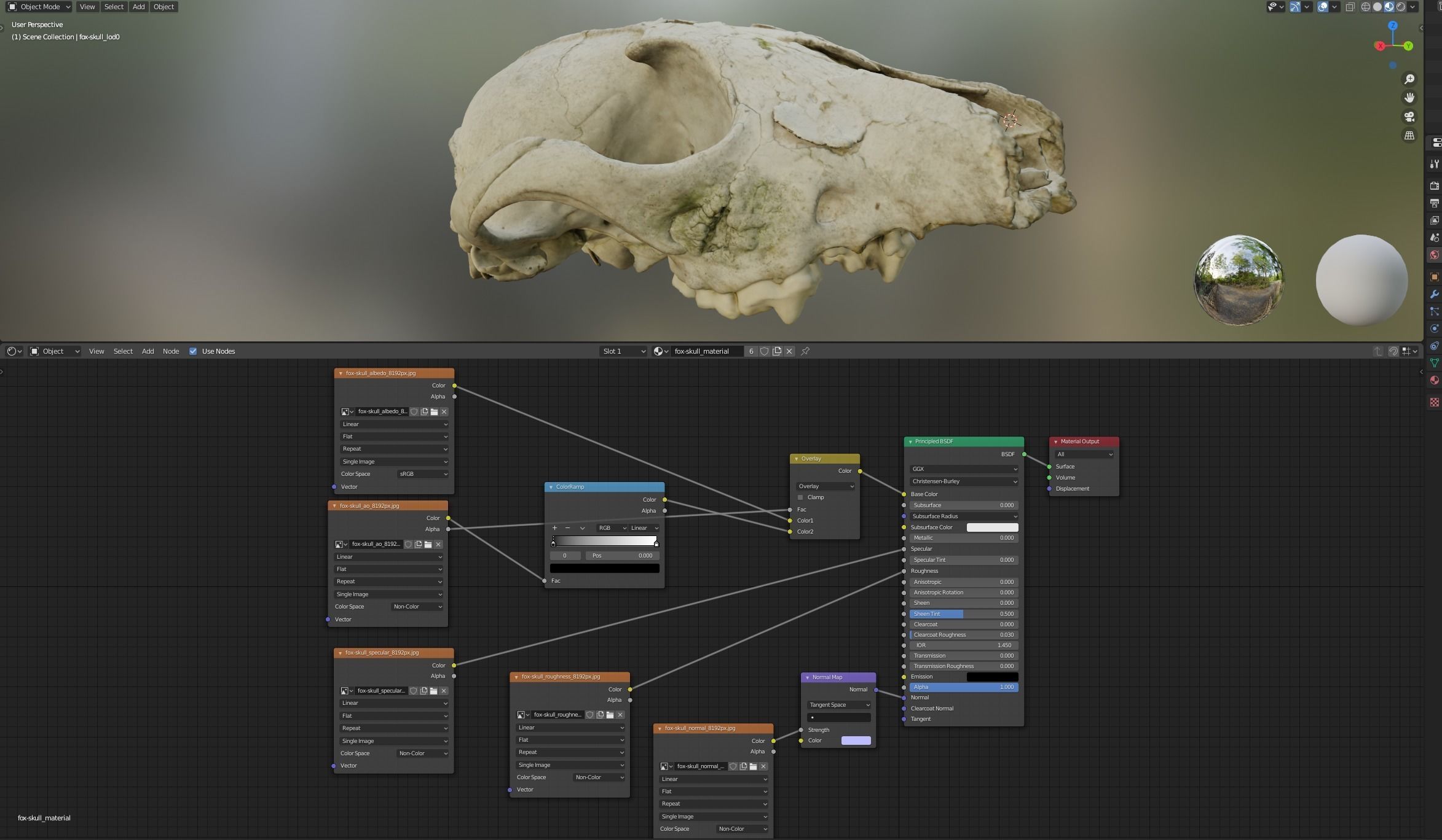 Fox skull Low-poly 3D model_18