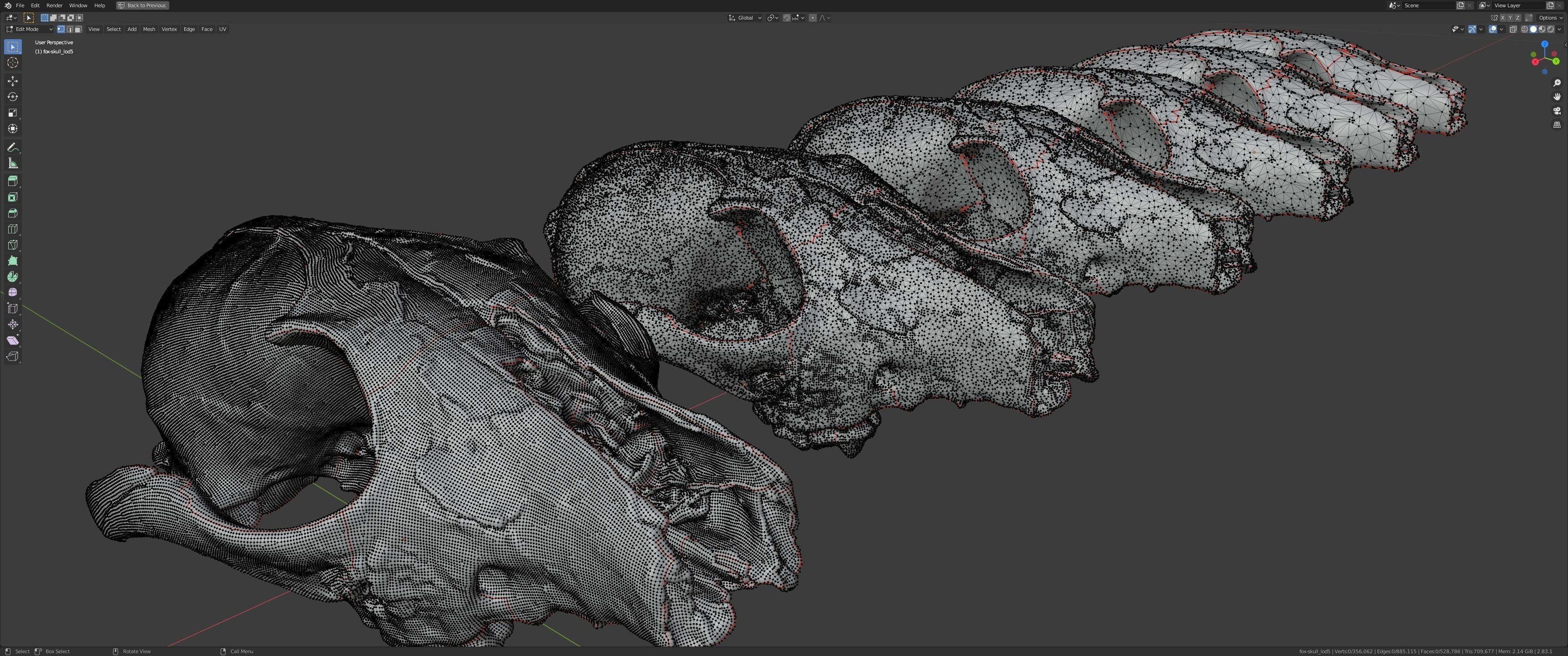 Fox skull Low-poly 3D model_16