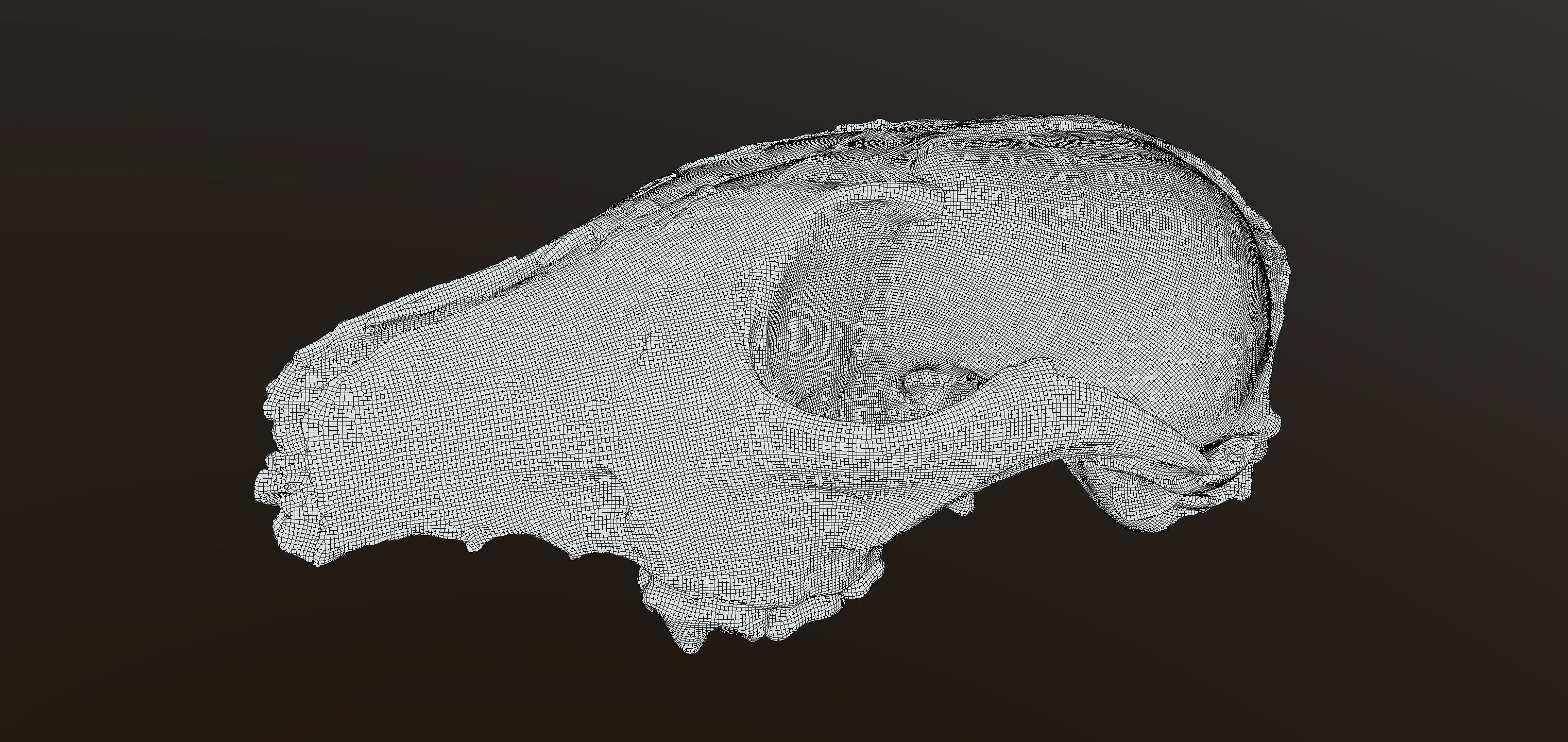 Fox skull Low-poly 3D model_7