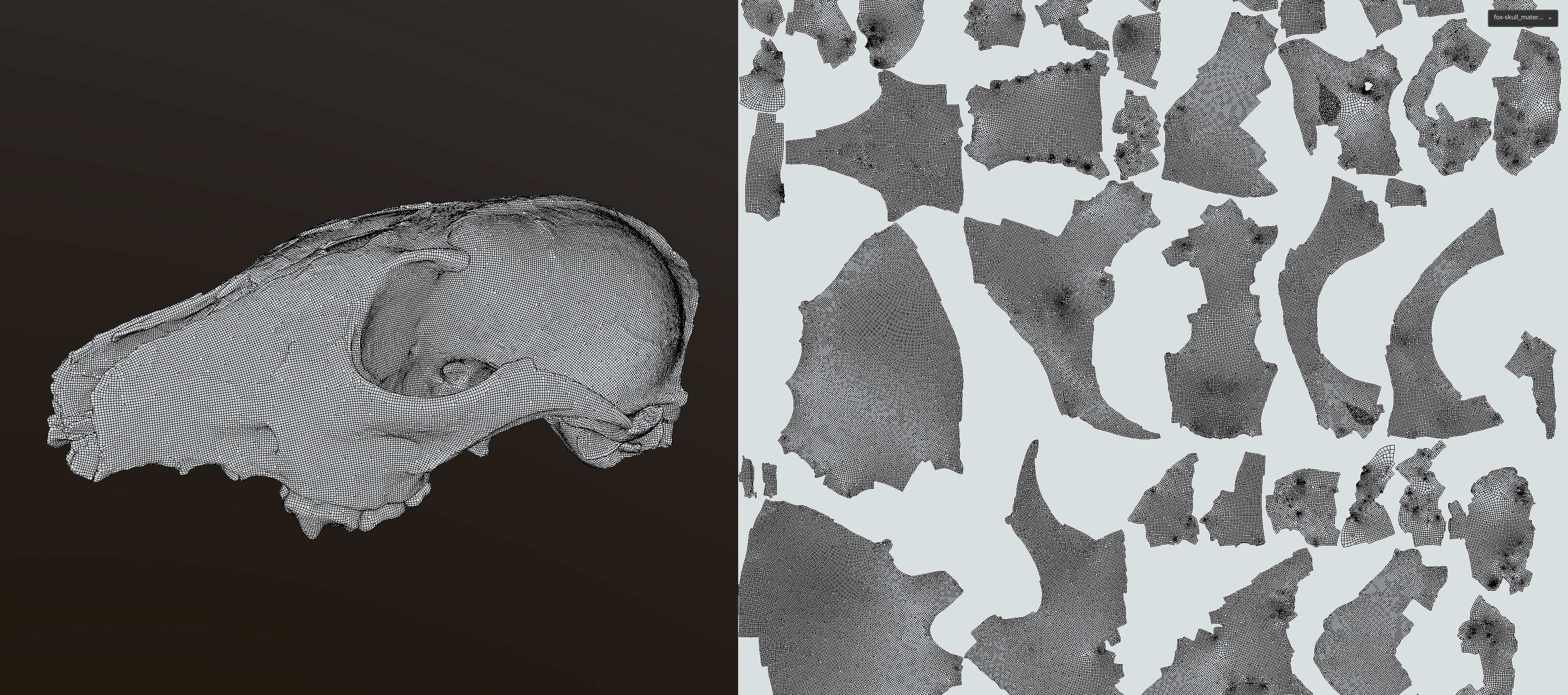 Fox skull Low-poly 3D model_11