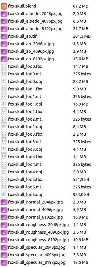 Fox skull Low-poly 3D model_19