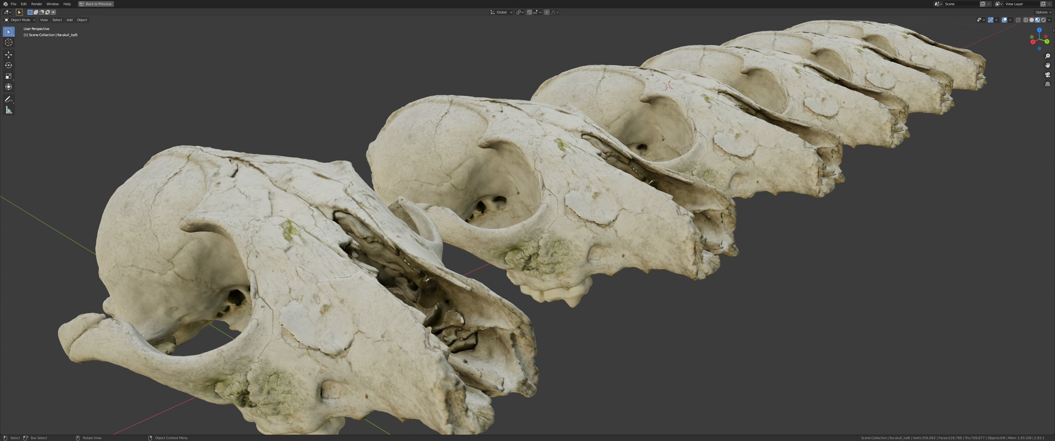 Fox skull Low-poly 3D model_17