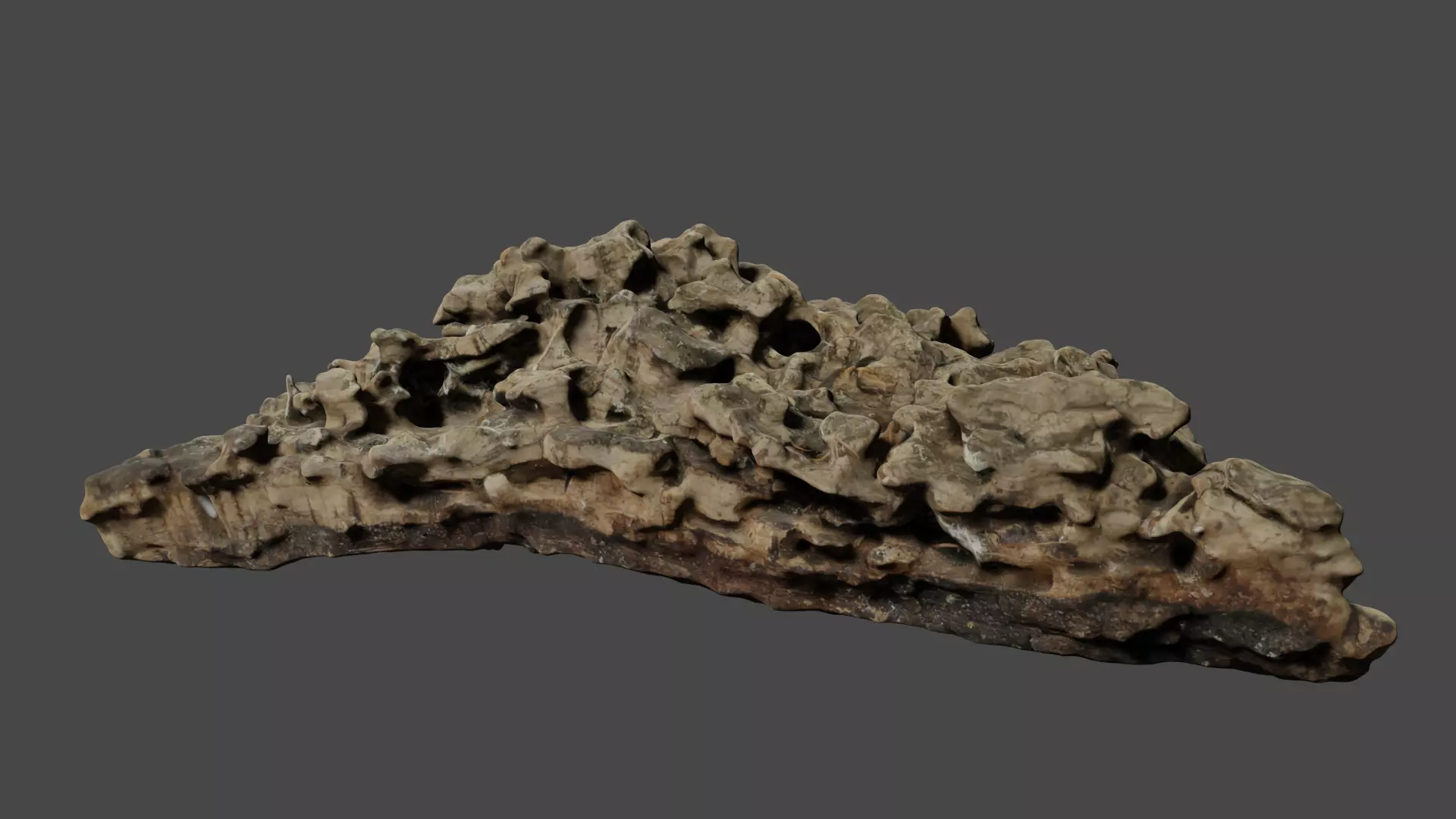 Photo-realistic cork oak bark Free 3D model