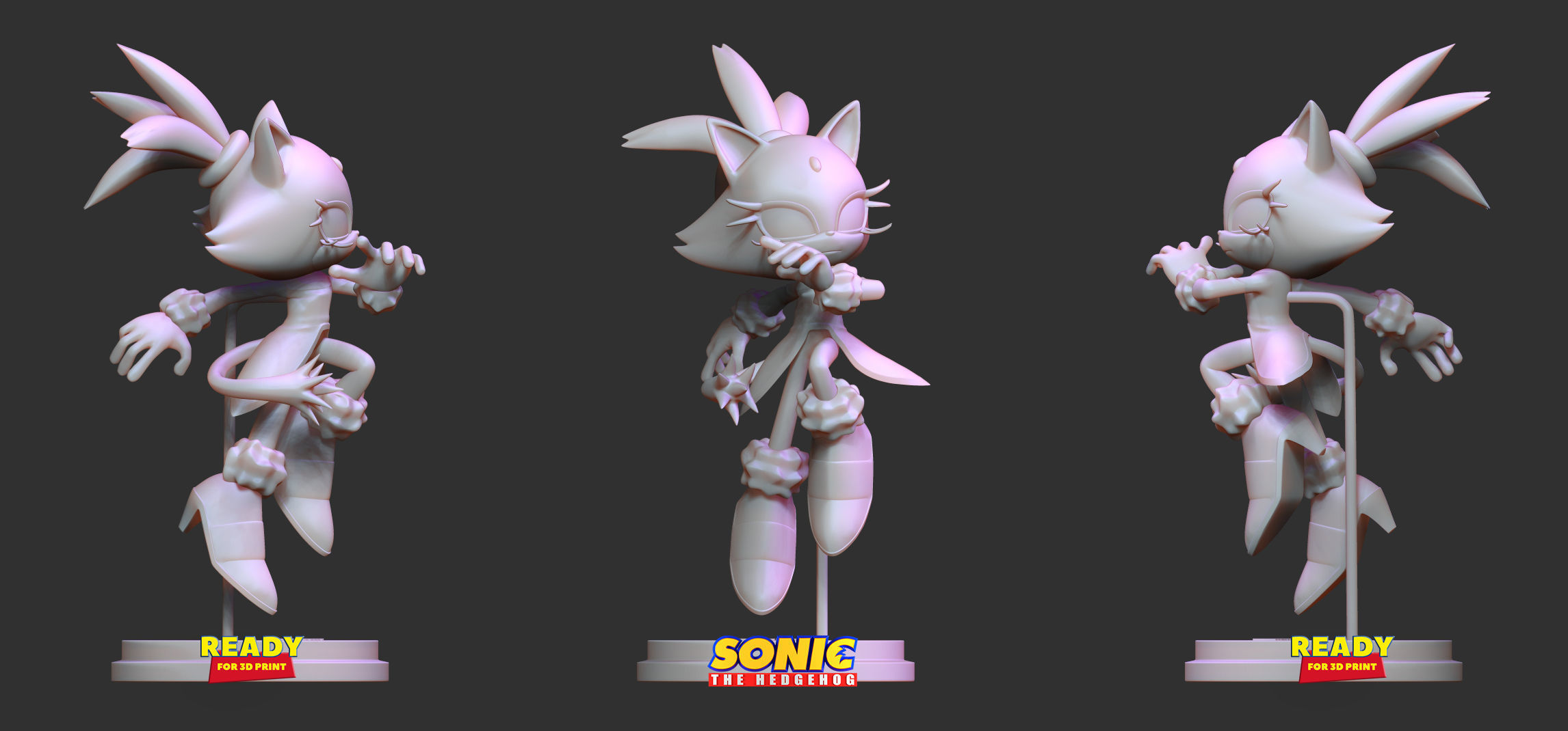 Blaze the Cat - Sonic Fanart 3D print model_3