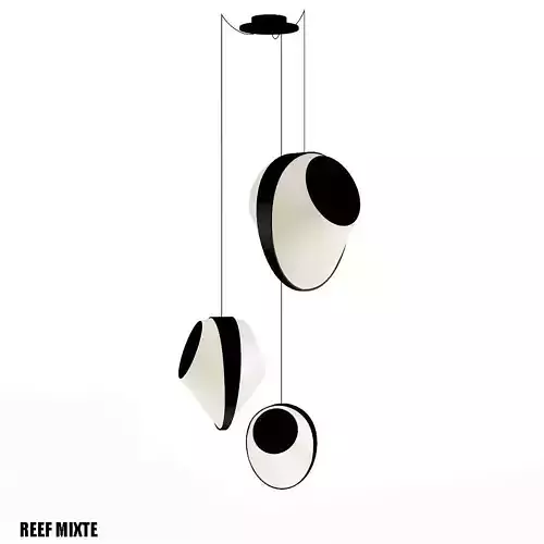 REEF MIXTE