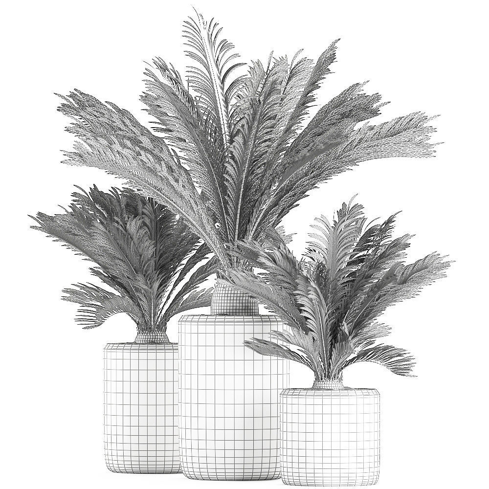 Decorative Cycas palm in a black flowerpot 624 3D model_9